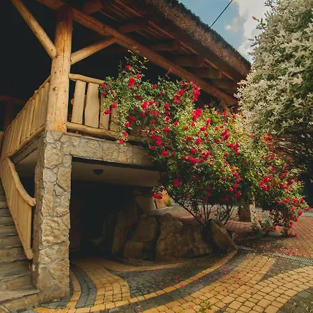 ,,pod Jeleniem